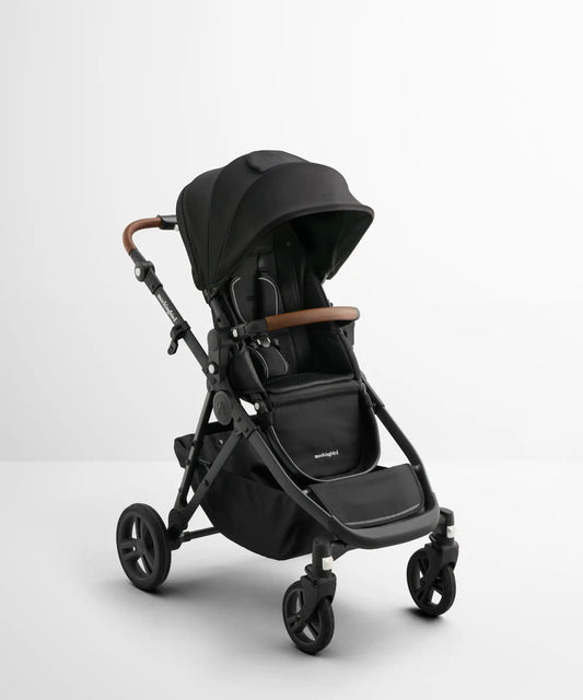 Single-to-Double Stroller 3.0